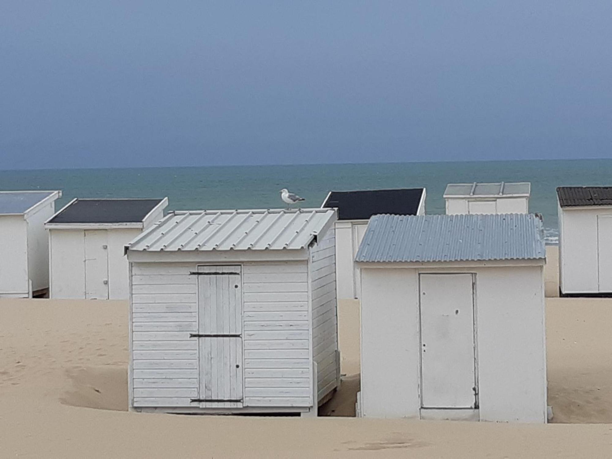 Calais Plage - Magnifique Studio - Front De Mer 외부 사진